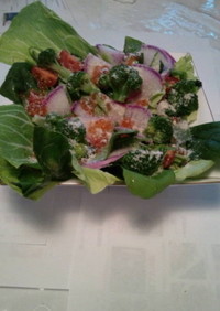 新鮮野菜の海鮮サラダ