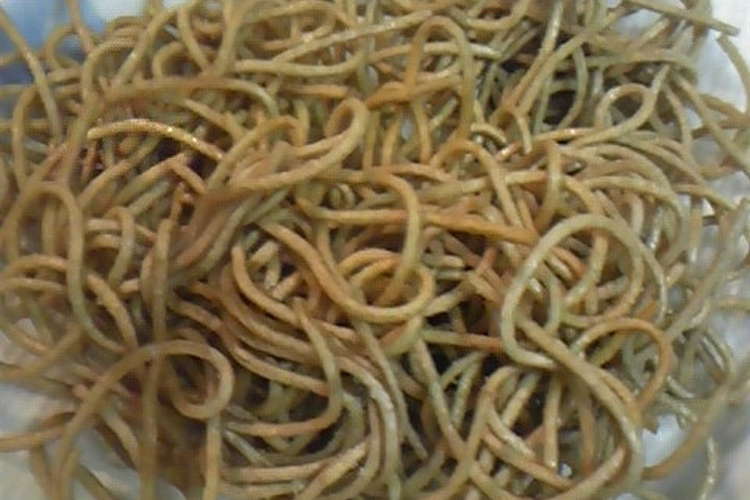 余ったゆで蕎麦で 揚げ蕎麦 レシピ 作り方 By エアリナ クックパッド 簡単おいしいみんなのレシピが352万品