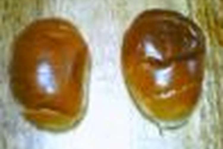 簡単 黒豆ココア風味のネオバターロール レシピ 作り方 By きょんたん クックパッド 簡単おいしいみんなのレシピが349万品