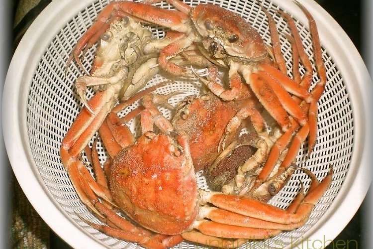 かにをゆでてみた レシピ 作り方 By Unianiki クックパッド