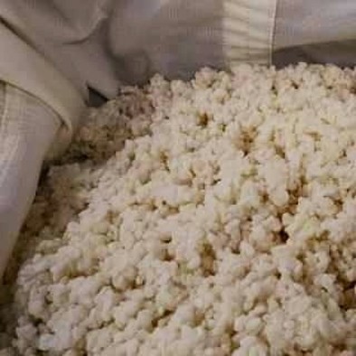 プレ農家めし◆大量・自家製米麹の作り方の写真