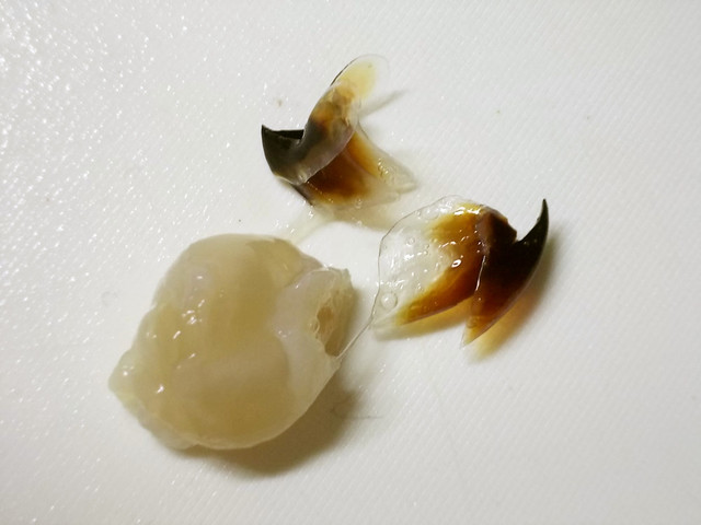 烏賊 イカ の くち を食する レシピ 作り方 By 玻瑠佳 Haruka クックパッド 簡単おいしいみんなのレシピが353万品 烏賊 イカ の くち を食する レシピ 作り方 By 玻瑠佳 Haruka クックパッド 簡単おいしいみんなのレシピが353万品