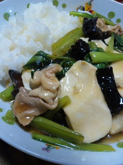 新定番！豆腐と小松菜のオイスター煮込みの写真