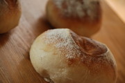 米麹酵母。シンプルかつ芳醇なパンの写真