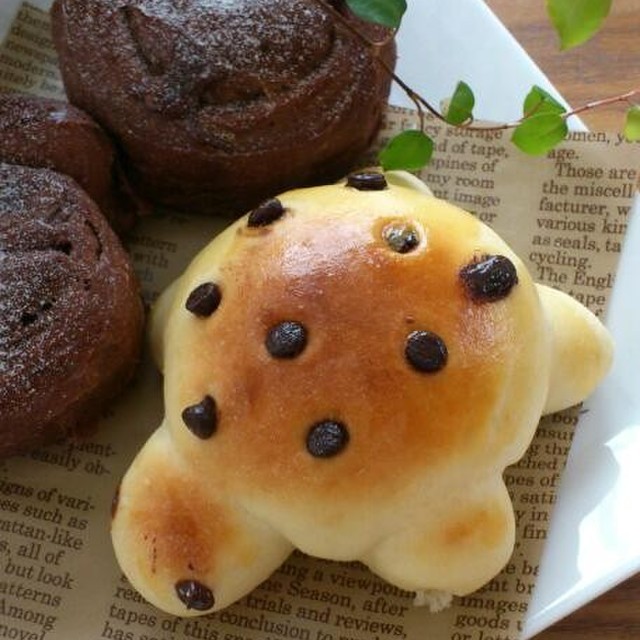 子どもと作る 手ごねパン レシピ 作り方 By さちレピ クックパッド 簡単おいしいみんなのレシピが356万品 子どもと作る 手ごねパン レシピ 作り方 By さちレピ クックパッド 簡単おいしいみんなのレシピが356万品