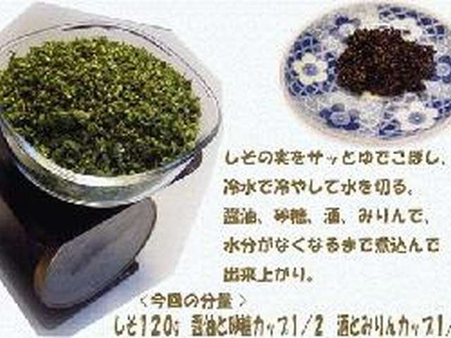 すべての美しい花の画像 75 し その 花 食べ 方