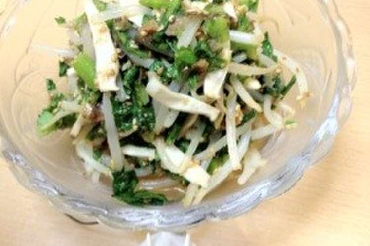 おやじ犬特製 春菊ともやしのナムル レシピ 作り方 By おやじ犬 クックパッド 簡単おいしいみんなのレシピが349万品