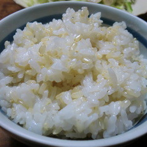 プチ玄米ご飯