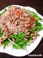 鯖そぼろ☆タイ風春雨サラダの写真