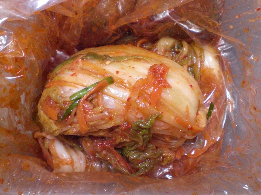 自家製”白菜キムチ”の画像