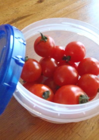 プチトマト長持ち保存法