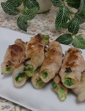 ビールのおつまみ♪ 肉巻き餃子