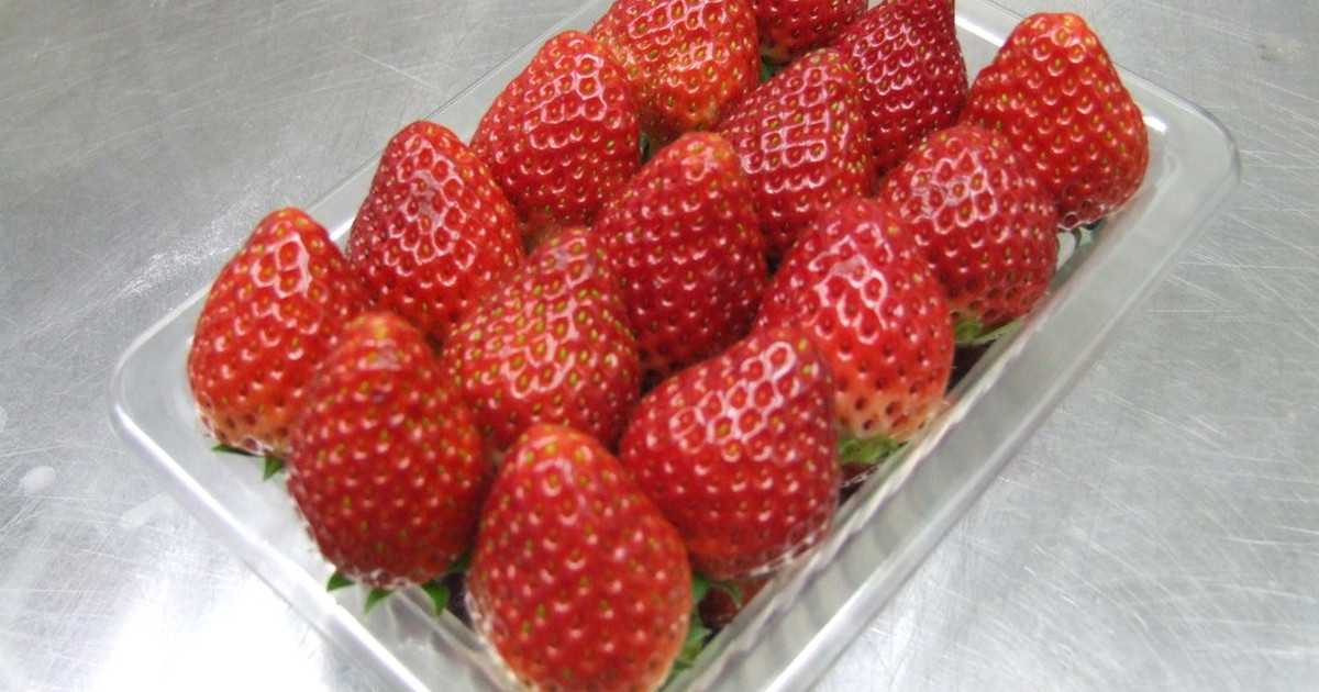 ちょっとの工夫で何倍も長持ち 苺の保存 レシピ 作り方 By 理系パティシエ クックパッド 簡単おいしいみんなのレシピが365万品