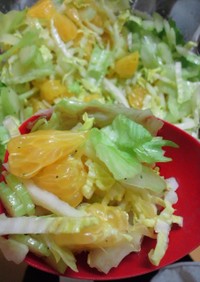 野菜バクバク☆はっさくと白菜のサラダ