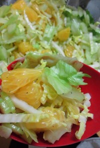 野菜バクバク☆はっさくと白菜のサラダ