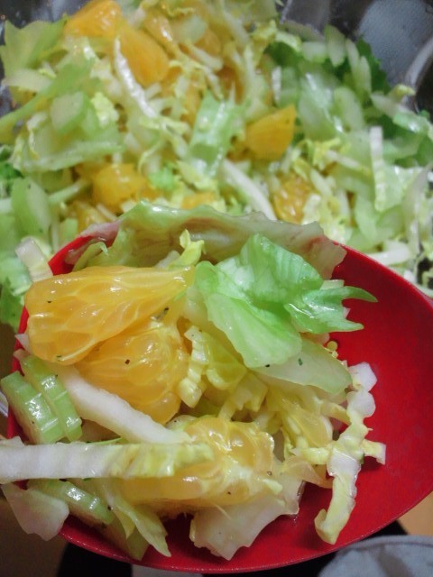 野菜バクバク☆はっさくと白菜のサラダの画像