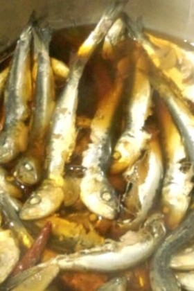 イワシの煮物