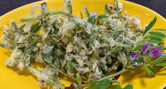身近な春の山菜 カラスノエンドウの天ぷら レシピ 作り方 By 黒鯛チヌ子 クックパッド 簡単おいしいみんなのレシピが373万品