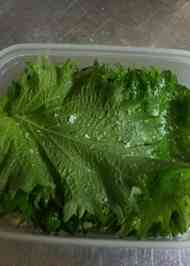 みんなが作ってる 大葉 塩漬け 保存のレシピ クックパッド 簡単おいしいみんなのレシピが358万品