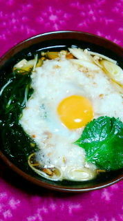 一番出汁で汁まで完食♪とろろ月見麺