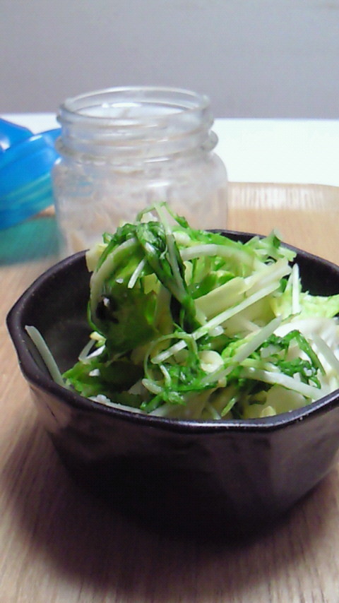 浅漬け☆キャベツ水菜☆簡単手作り塩麹での画像