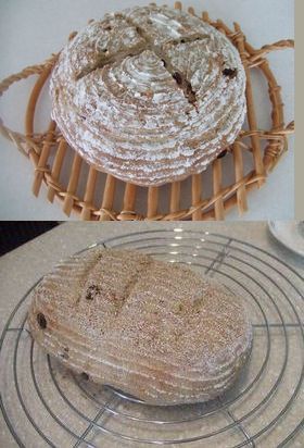 しあわせのパン・ド・カンパーニュの画像
