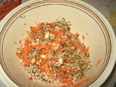 蕎麦の実を入れた健康サラダの写真
