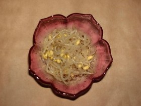 まめもやし の ナムル風