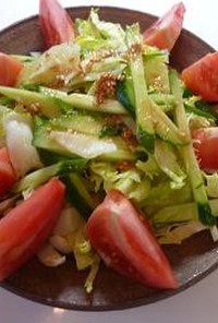 生野菜サラダ　にんにくドレッシング☆