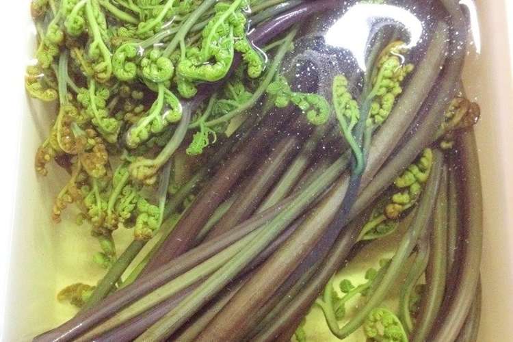 農家さん直伝 わらびのあく抜き法 保存法 レシピ 作り方 By Shietti クックパッド 簡単おいしいみんなのレシピが349万品