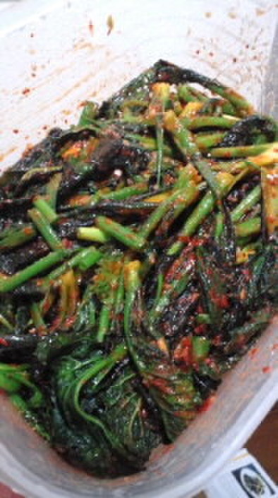 カッキムチ(からし菜…高菜のキムチ)の写真