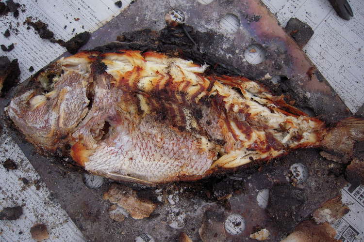 デカい鯛でも大丈夫 炭火で鯛の塩釜焼き レシピ 作り方 By ナヲキ クックパッド 簡単おいしいみんなのレシピが361万品