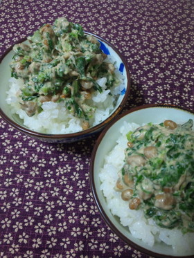 美味しく健康♪あしたば納豆