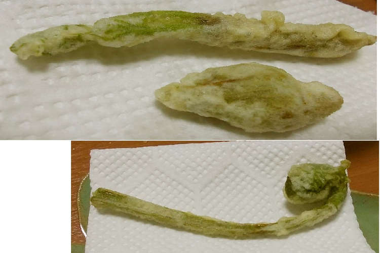 旬の味 木の芽を食する 2 天ぷら レシピ 作り方 By 玻瑠佳 Haruka クックパッド
