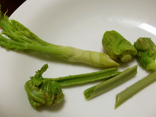 旬の味 木の芽を食する 1 サラダ レシピ 作り方 By 玻瑠佳 Haruka クックパッド 旬の味 木の芽を食する 1 サラダ レシピ 作り方 By 玻瑠佳 Haruka クックパッド