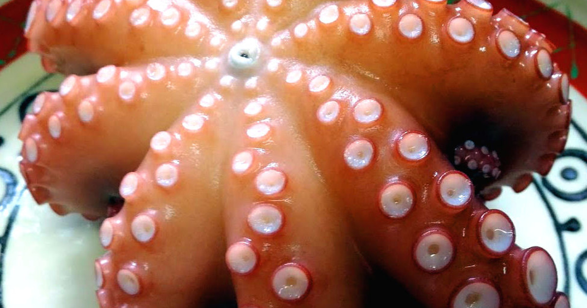 茹でタコ タコのゆで方 真蛸を茹でる レシピ 作り方 By ジアミーヌ クックパッド 簡単おいしいみんなのレシピが360万品