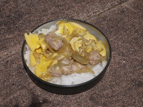 2段ソーラー親子丼★ご飯も具も同時に調理