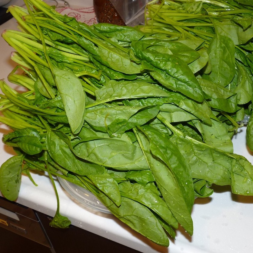 ほうれん草の冷凍 by piro55 【クックパッド】 簡単おいしいみんなのレシピが356万品