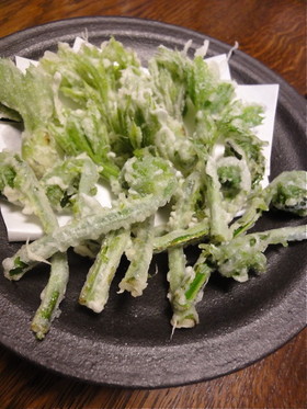 山菜の天ぷら☆こしあぶら&こごみ
