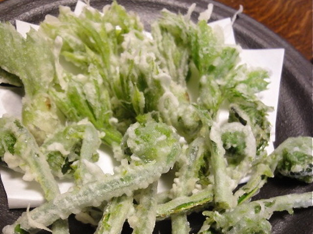 山菜の天ぷら こしあぶら こごみ レシピ 作り方 By ぼのつま クックパッド 簡単おいしいみんなのレシピが352万品