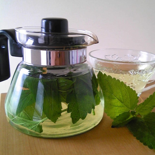 ５月の爽やかハーブティー レシピ 作り方 By ニョッキ クックパッド 簡単おいしいみんなのレシピが356万品