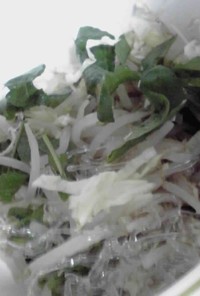 マロニー「プチ!プチ!海藻麺」サラダ
