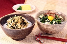 ねぎたっぷりわかめ粥&具沢山五色粥