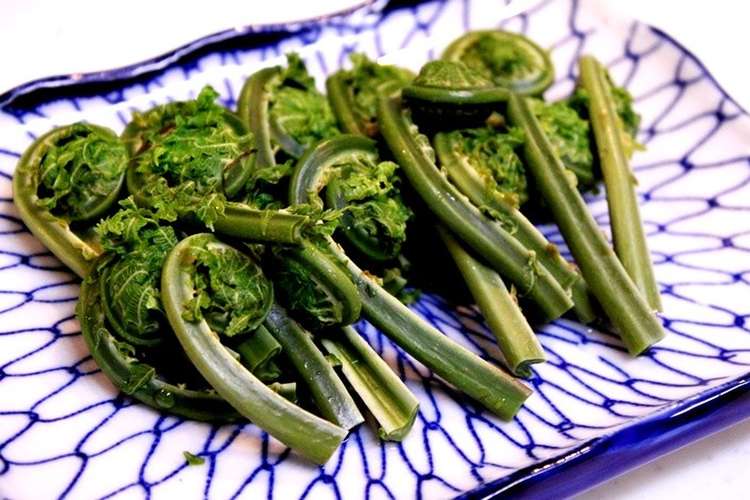 一番おいしい食べ方 こごみのお刺身 レシピ 作り方 By りょーーーこ クックパッド 簡単おいしいみんなのレシピが352万品