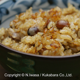 炒り大豆と玄米の炊き込みご飯の画像