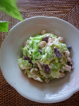 キャベツのツナ豆サラダ☆