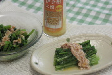 サラダからし菜の伊予柑風味の写真