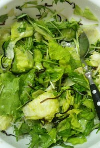 レタスと水菜の塩こんぶサラダ