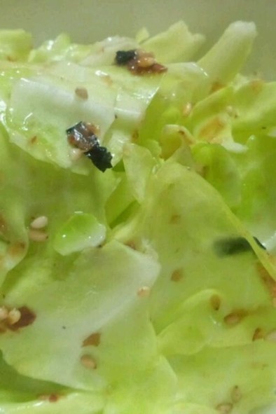 キャベツのサラダ(ごま油風味)の写真