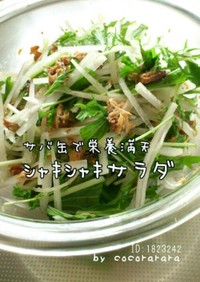 大根と水菜サラダ☆サバ缶使用！もう一品に